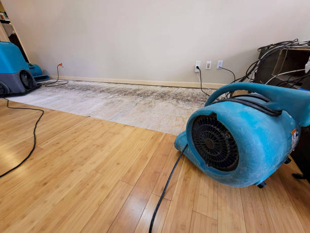 Professional Water Damage Repair technician working in Pruden, TN
